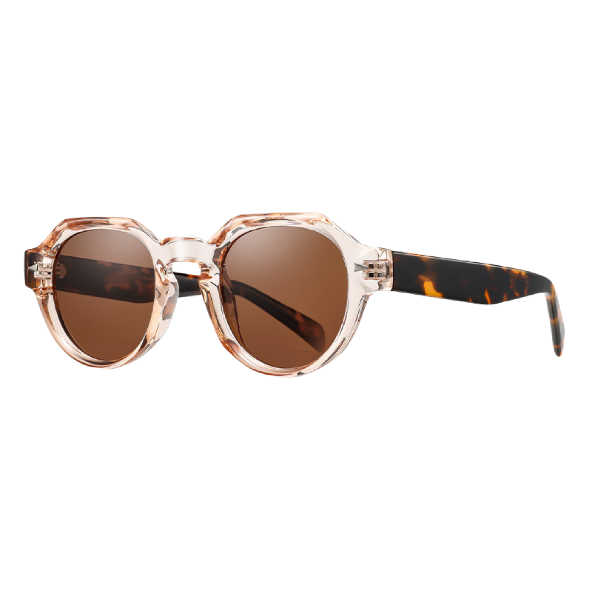 Notting Hill Arc - Beige Brillante Tartarugato/MARRONE